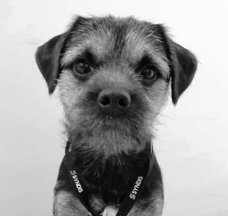 Páll Níelsar Pálínuson